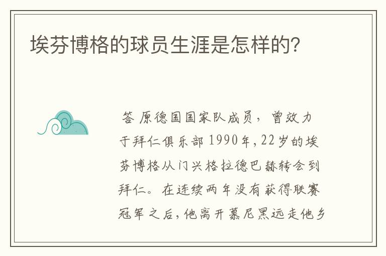 埃芬博格的球员生涯是怎样的？