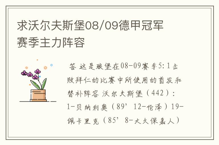 求沃尔夫斯堡08/09德甲冠军赛季主力阵容