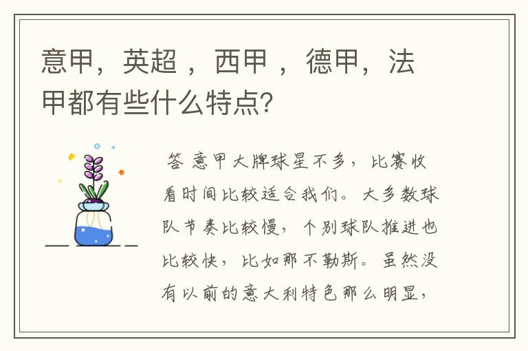 意甲，英超 ，西甲 ，德甲，法甲都有些什么特点？