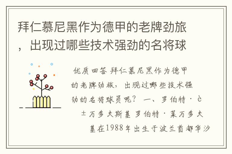 拜仁慕尼黑作为德甲的老牌劲旅,出现过哪些技术强劲的名将球员呢?