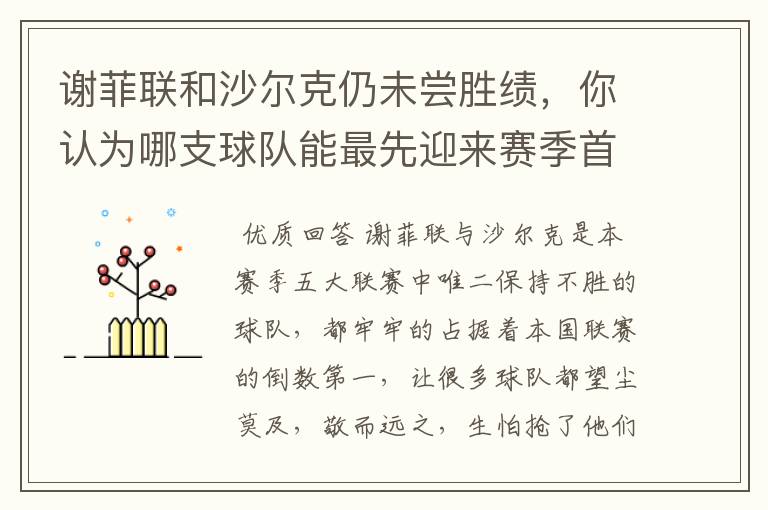 谢菲联和沙尔克仍未尝胜绩，你认为哪支球队能最先迎来赛季首胜？