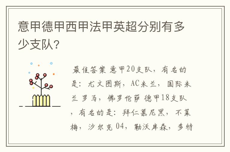 意甲德甲西甲法甲英超分别有多少支队?