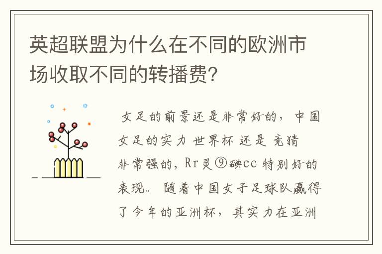 英超联盟为什么在不同的欧洲市场收取不同的转播费？