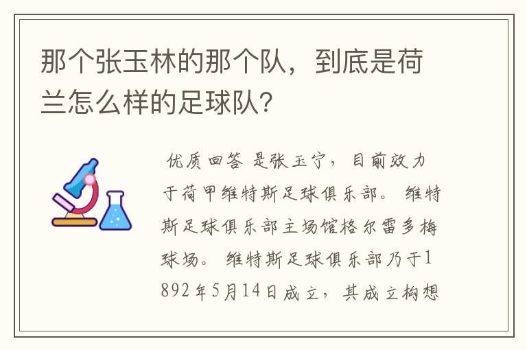 那个张玉林的那个队，到底是荷兰怎么样的足球队？