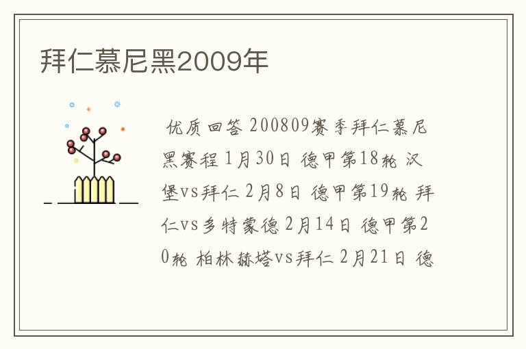 拜仁慕尼黑2009年