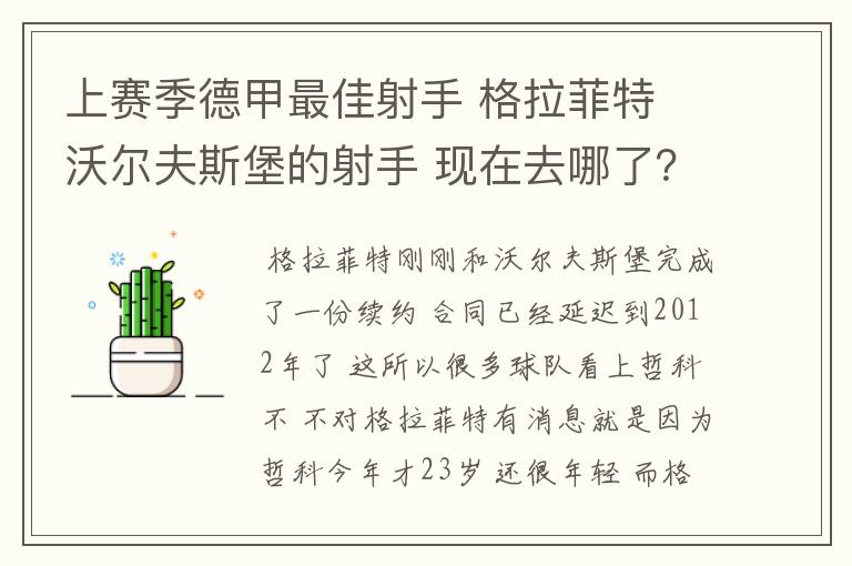 上赛季德甲最佳射手 格拉菲特 沃尔夫斯堡的射手 现在去哪了？