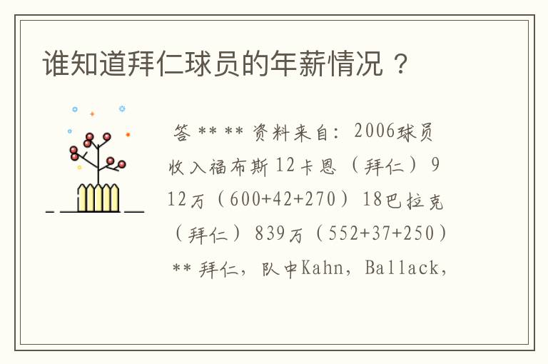 谁知道拜仁球员的年薪情况 ?