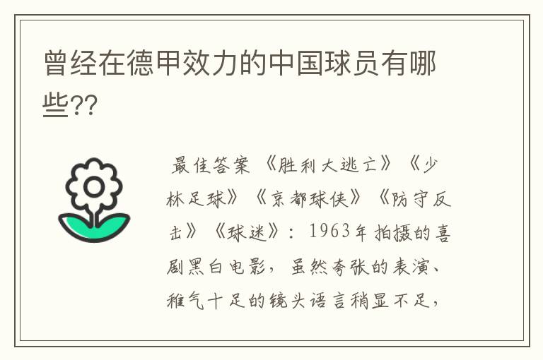 曾经在德甲效力的中国球员有哪些?？