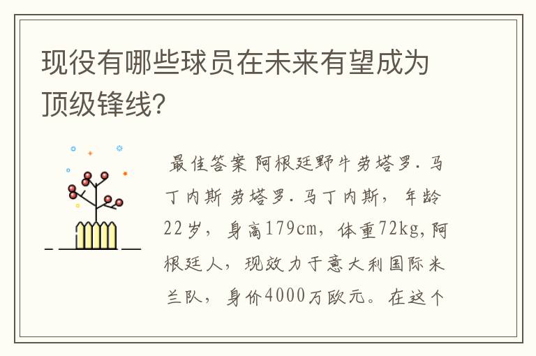 现役有哪些球员在未来有望成为顶级锋线？