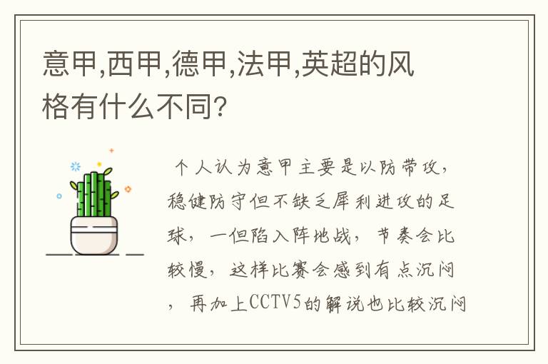 意甲,西甲,德甲,法甲,英超的风格有什么不同?