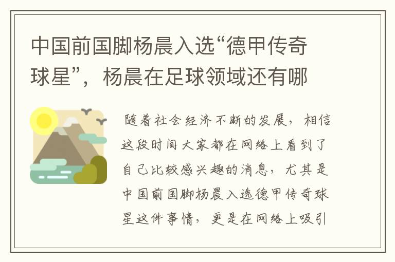 中国前国脚杨晨入选“德甲传奇球星”，杨晨在足球领域还有哪些成就？