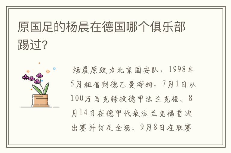 原国足的杨晨在德国哪个俱乐部踢过?