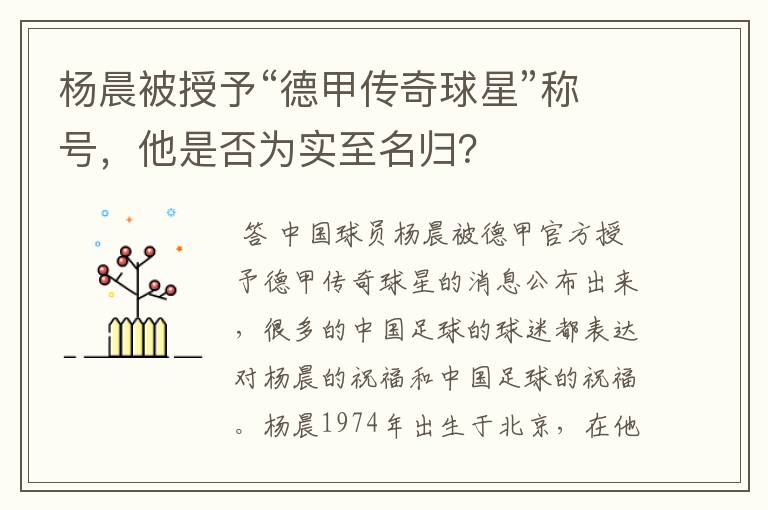 杨晨被授予“德甲传奇球星”称号，他是否为实至名归？