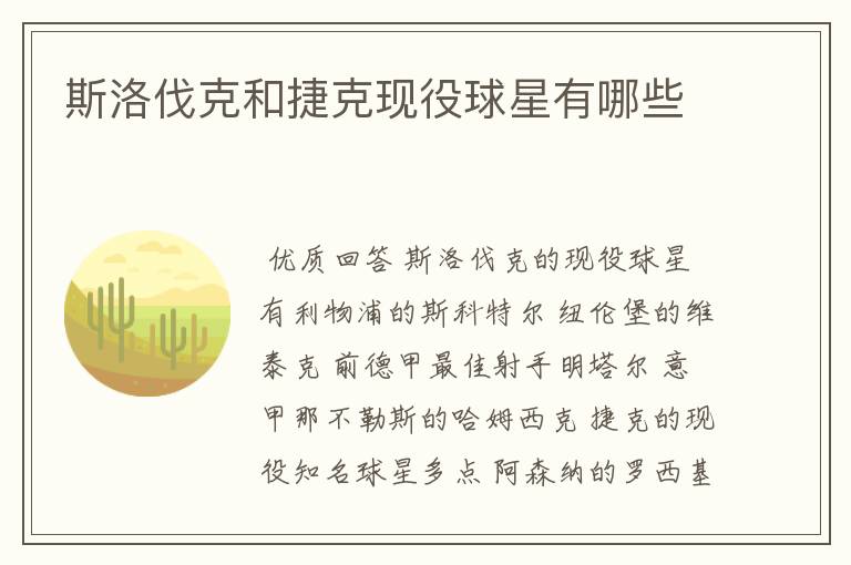 斯洛伐克和捷克现役球星有哪些