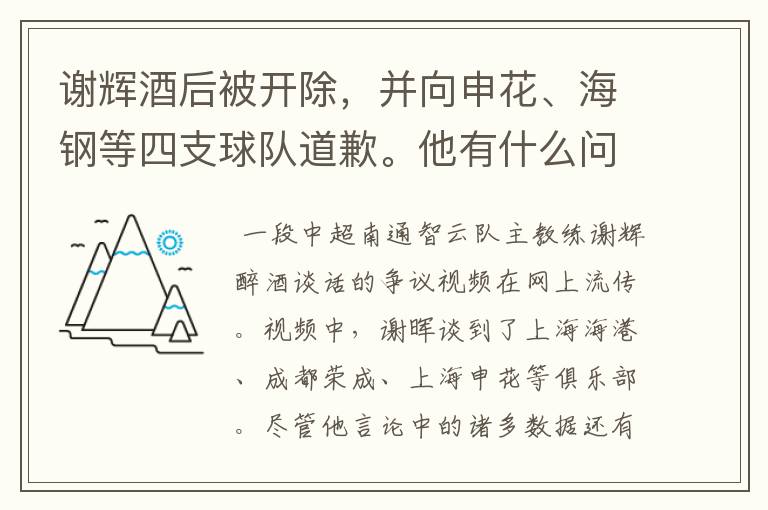 谢辉酒后被开除，并向申花、海钢等四支球队道歉。他有什么问题？