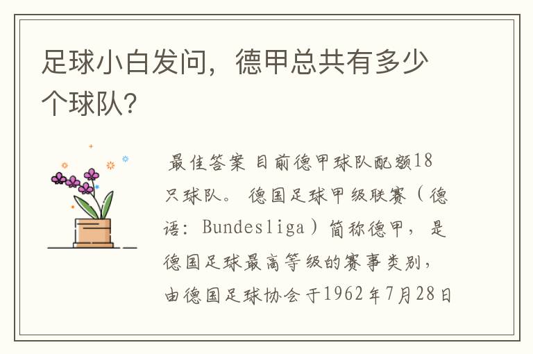 足球小白发问，德甲总共有多少个球队？