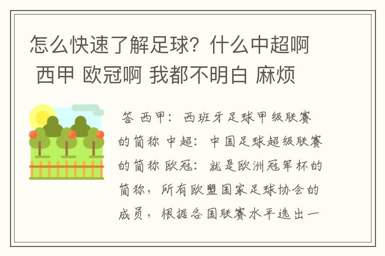 怎么快速了解足球？什么中超啊 西甲 欧冠啊 我都不明白 麻烦 有哪位特别了解足球的 跟我讲讲，多谢