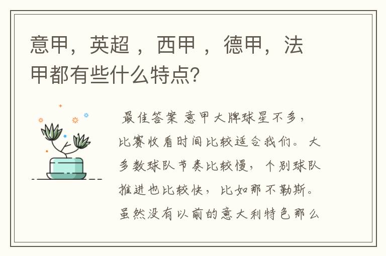 意甲，英超 ，西甲 ，德甲，法甲都有些什么特点？