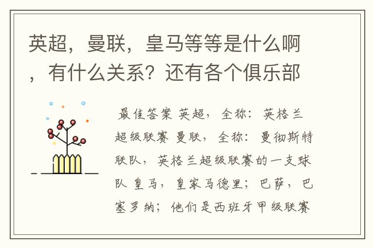 英超，曼联，皇马等等是什么啊，有什么关系？还有各个俱乐部，各个球队之间是什么关系