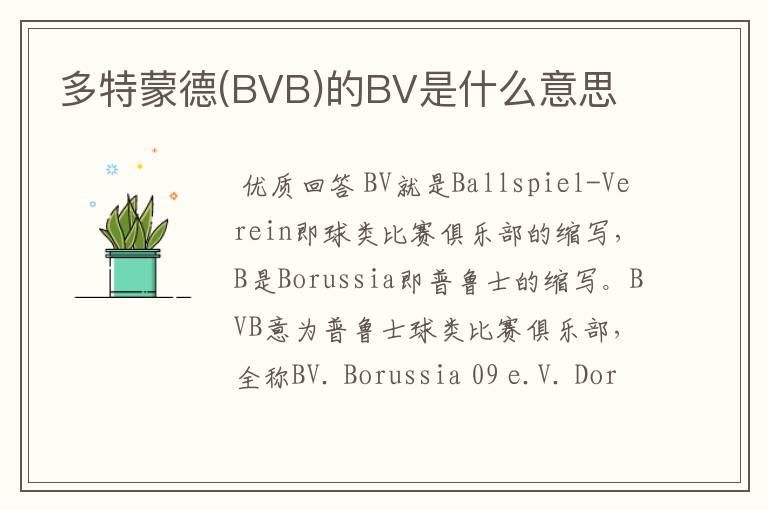 多特蒙德(BVB)的BV是什么意思