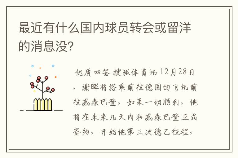 最近有什么国内球员转会或留洋的消息没？