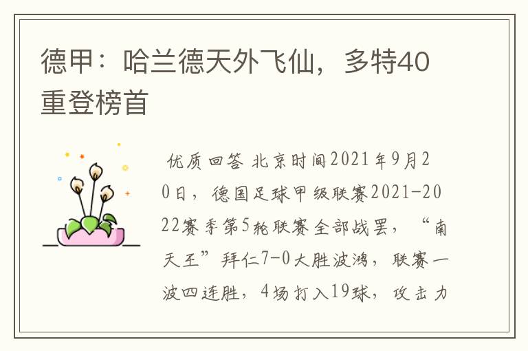 德甲：哈兰德天外飞仙，多特40重登榜首