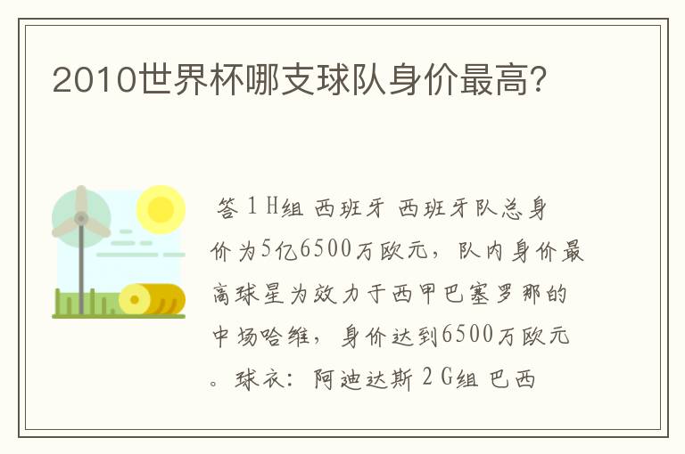 2010世界杯哪支球队身价最高？