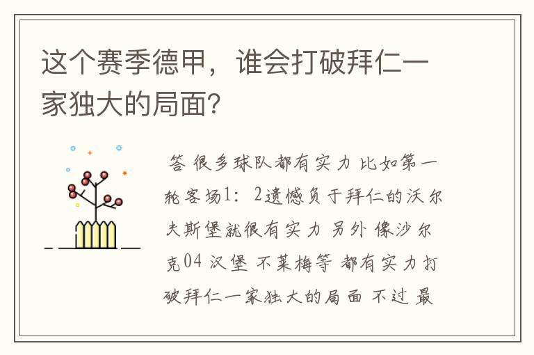 这个赛季德甲，谁会打破拜仁一家独大的局面？