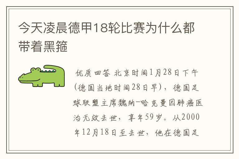 今天凌晨德甲18轮比赛为什么都带着黑箍