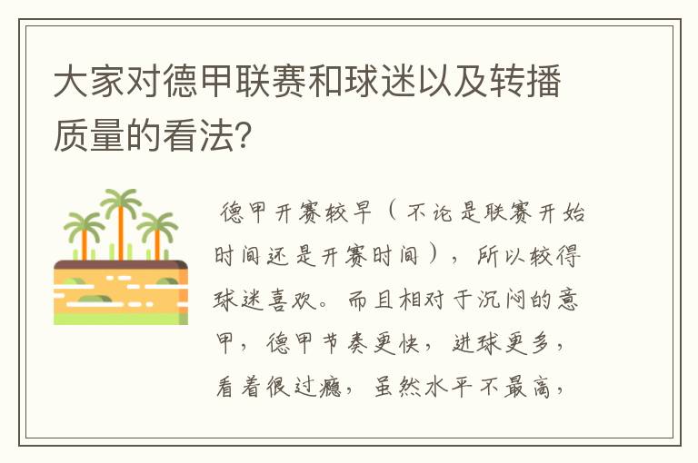 大家对德甲联赛和球迷以及转播质量的看法？