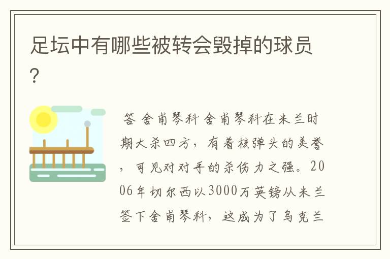 足坛中有哪些被转会毁掉的球员？