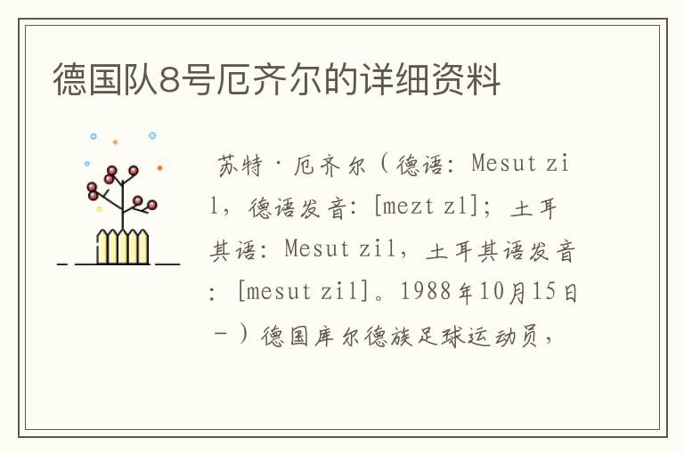 德国队8号厄齐尔的详细资料