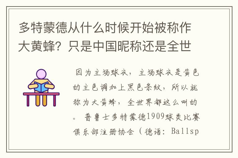 多特蒙德从什么时候开始被称作大黄蜂？只是中国昵称还是全世界范围都这么称呼