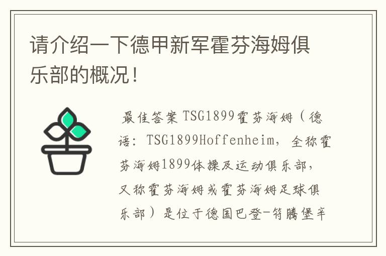 请介绍一下德甲新军霍芬海姆俱乐部的概况！