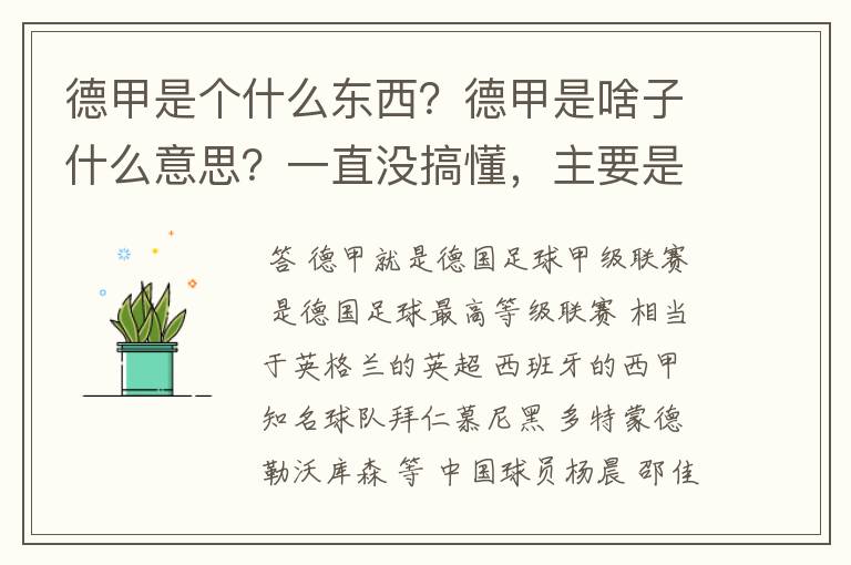 德甲是个什么东西？德甲是啥子什么意思？一直没搞懂，主要是我平时基本不看德甲呀，足球什么的。?推荐一下