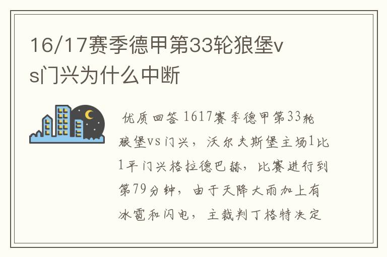 16/17赛季德甲第33轮狼堡vs门兴为什么中断