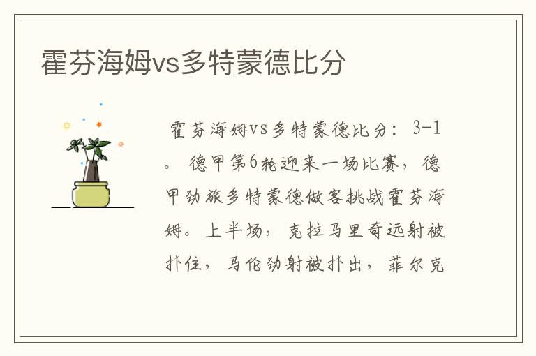 霍芬海姆vs多特蒙德比分