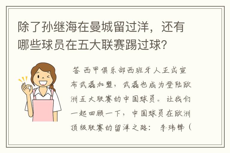 除了孙继海在曼城留过洋，还有哪些球员在五大联赛踢过球？