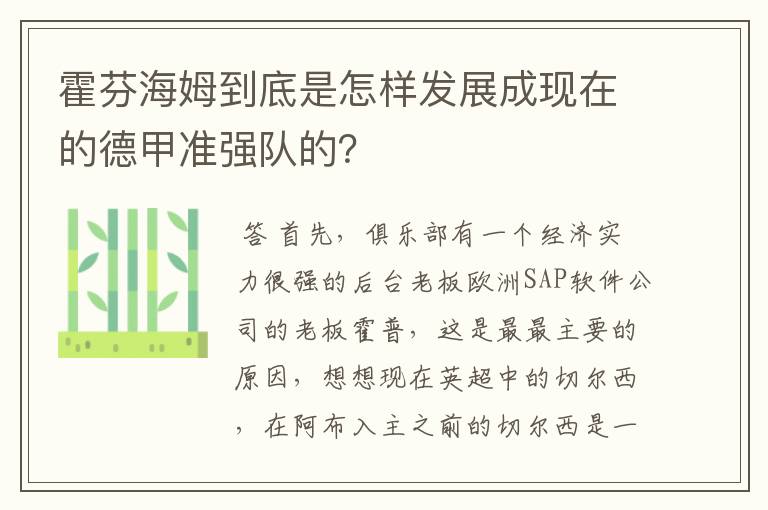 霍芬海姆到底是怎样发展成现在的德甲准强队的？