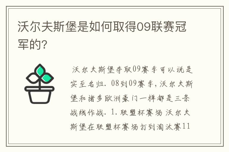 沃尔夫斯堡是如何取得09联赛冠军的?