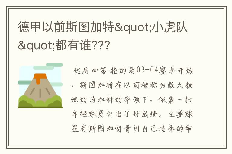 德甲以前斯图加特"小虎队"都有谁???