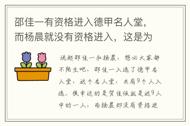 邵佳一有资格进入德甲名人堂，而杨晨就没有资格进入，这是为何？