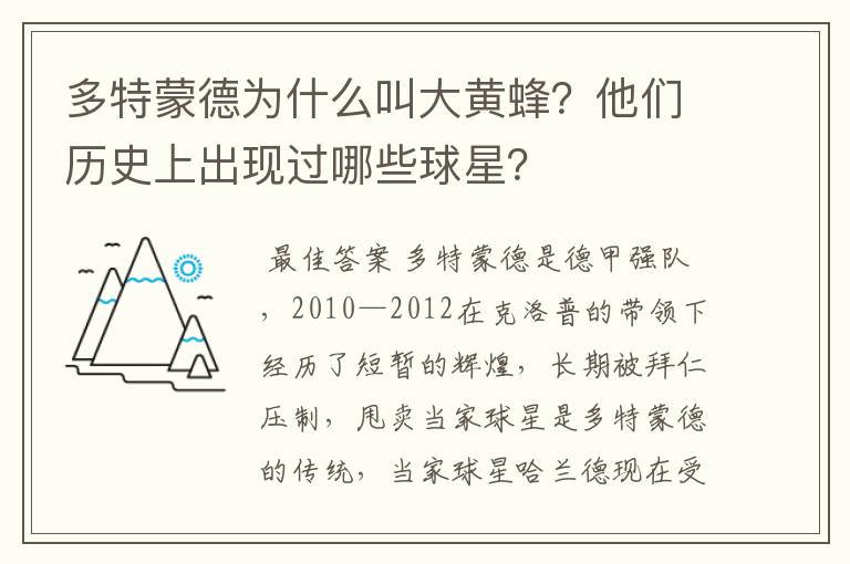 多特蒙德为什么叫大黄蜂？他们历史上出现过哪些球星？