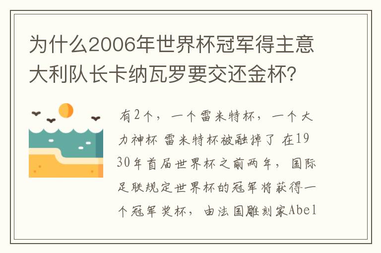 为什么2006年世界杯冠军得主意大利队长卡纳瓦罗要交还金杯？