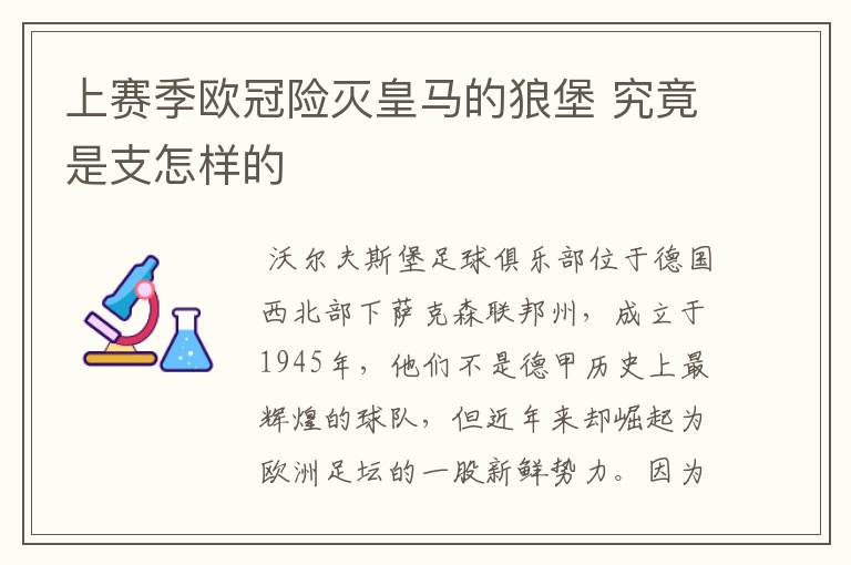 上赛季欧冠险灭皇马的狼堡 究竟是支怎样的