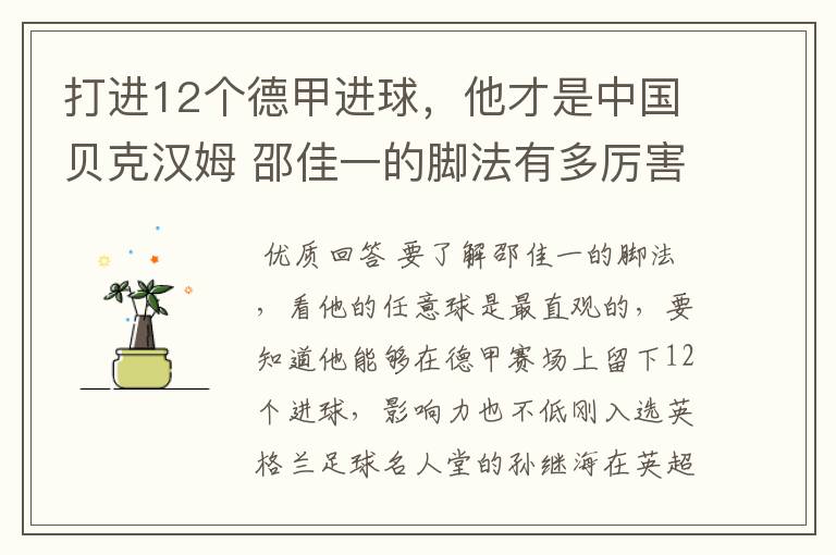 打进12个德甲进球，他才是中国贝克汉姆 邵佳一的脚法有多厉害