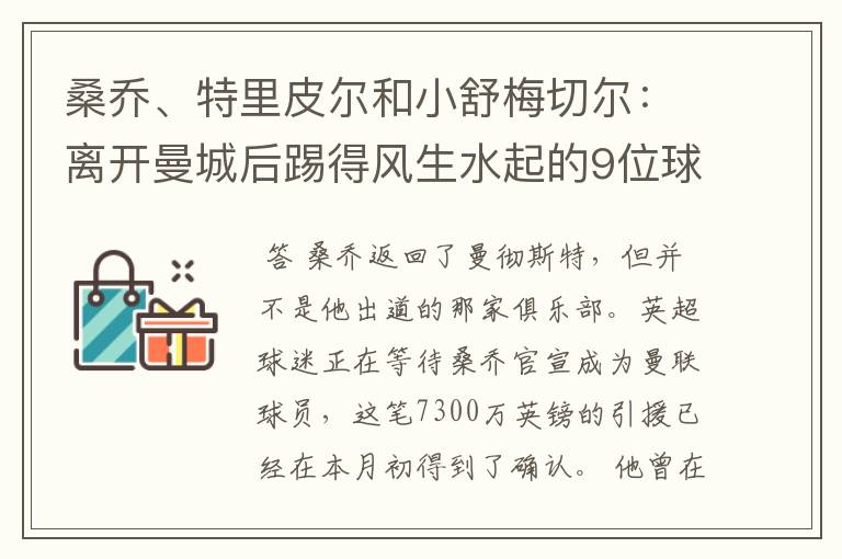 桑乔、特里皮尔和小舒梅切尔：离开曼城后踢得风生水起的9位球员