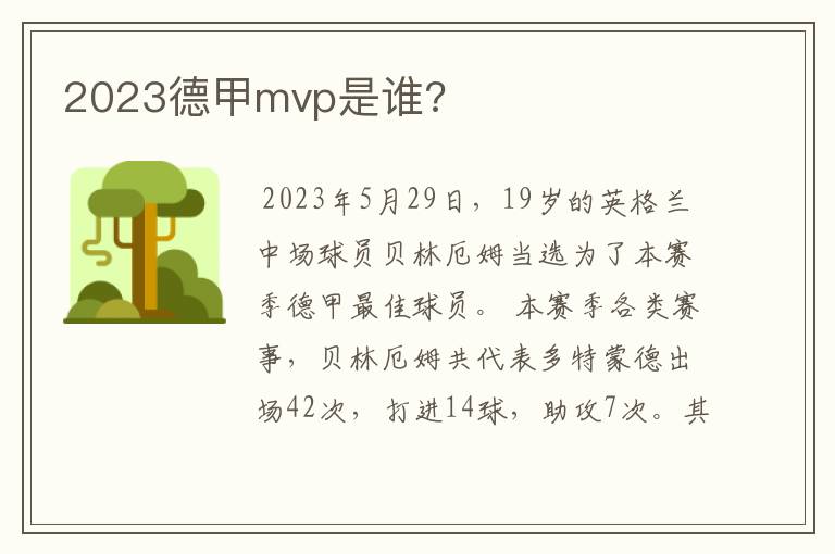 2023德甲mvp是谁?