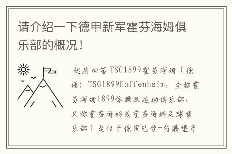 请介绍一下德甲新军霍芬海姆俱乐部的概况！