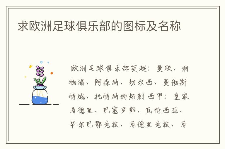 求欧洲足球俱乐部的图标及名称